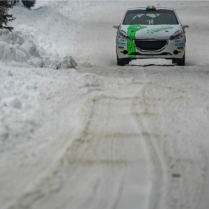 WINTER RALLY COVASNA - Gallery 7